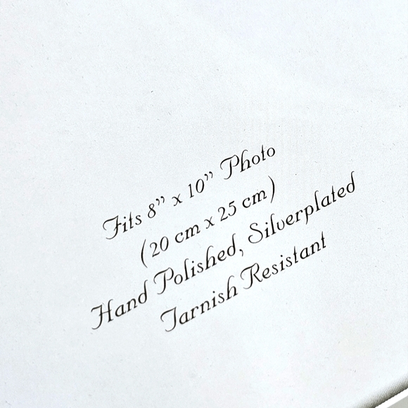 Siena Hand Polished Silverplated Frame Photo Fenwick Island Delaware Aug 2009 - Picture 9 of 15